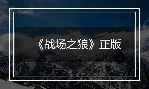 《战场之狼》正版