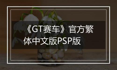 《GT赛车》官方繁体中文版PSP版