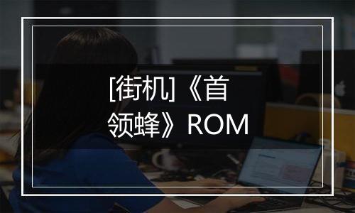 [街机]《首领蜂》ROM