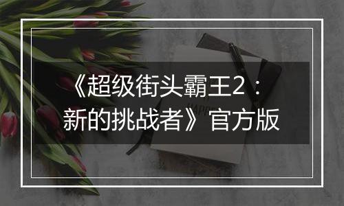 《超级街头霸王2：新的挑战者》官方版