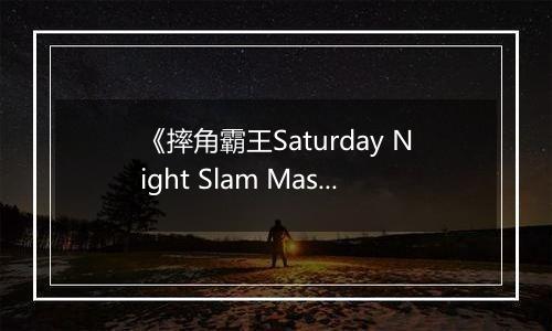 《摔角霸王Saturday Night Slam Masters》官方版