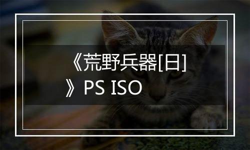 《荒野兵器[日]》PS ISO