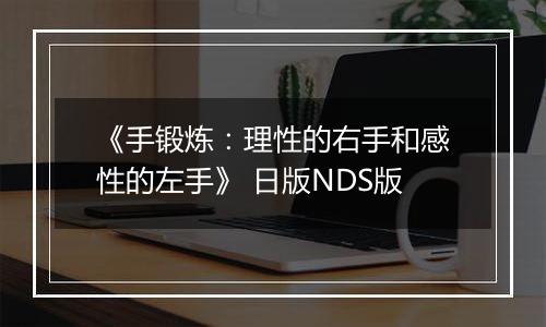《手锻炼：理性的右手和感性的左手》 日版NDS版