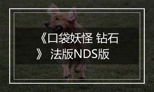 《口袋妖怪 钻石》 法版NDS版