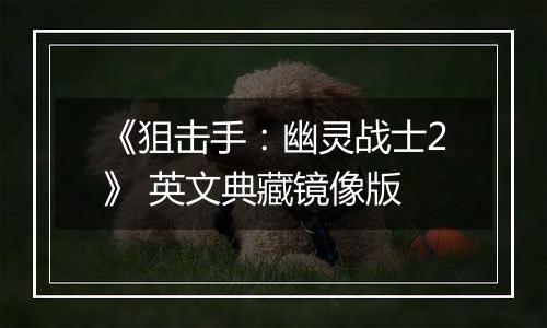 《狙击手：幽灵战士2》 英文典藏镜像版最新版