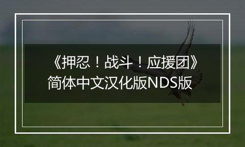 《押忍!战斗!应援团》简体中文汉化版NDS版最新版