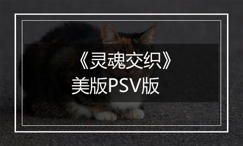 《灵魂交织》美版PSV版最新版