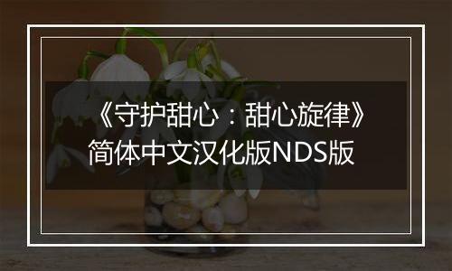 《守护甜心：甜心旋律》简体中文汉化版NDS版最新版