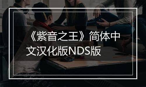 《紫音之王》简体中文汉化版NDS版最新版