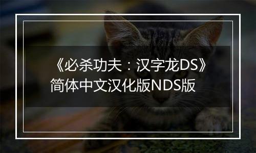 《必杀功夫：汉字龙DS》简体中文汉化版NDS版最新版