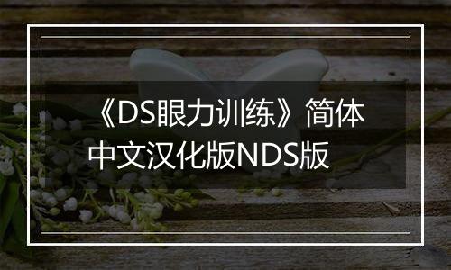 《DS眼力训练》简体中文汉化版NDS版最新版